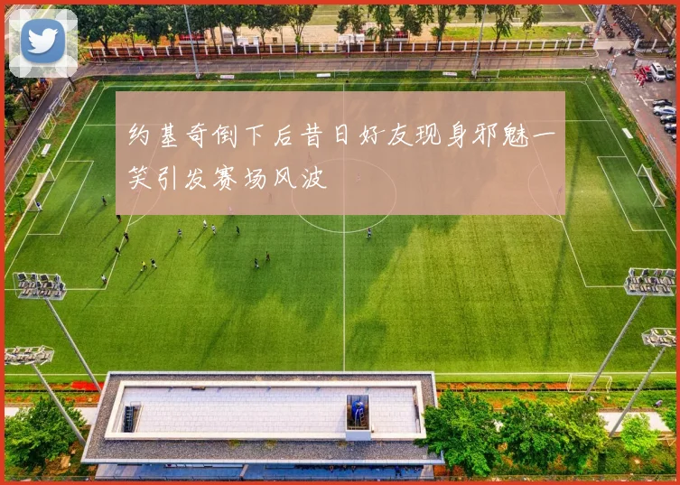 约基奇倒下后昔日好友现身邪魅一笑引发赛场风波