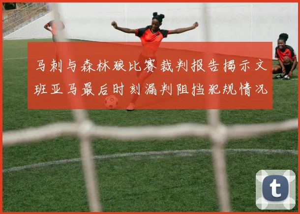 马刺与森林狼比赛裁判报告揭示文班亚马最后时刻漏判阻挡犯规情况