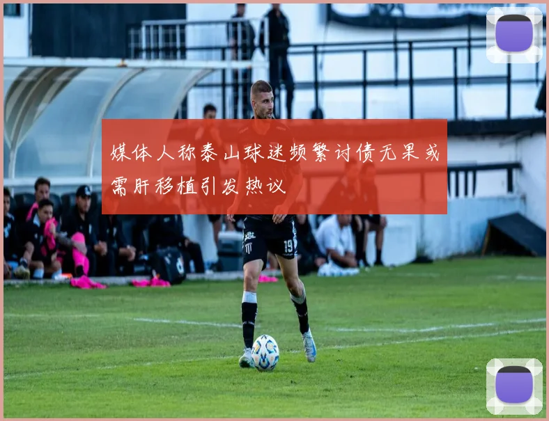 媒体人称泰山球迷频繁讨债无果或需肝移植引发热议