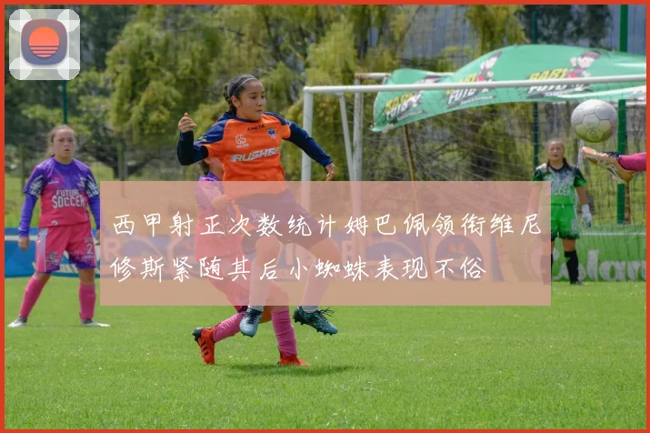 西甲射正次数统计姆巴佩领衔维尼修斯紧随其后小蜘蛛表现不俗