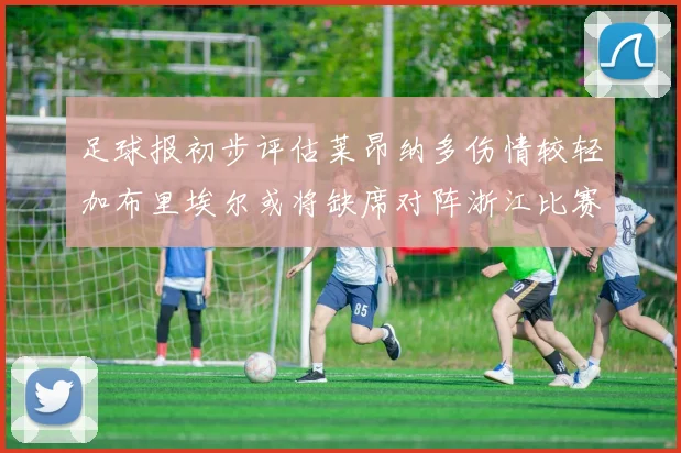 足球报初步评估莱昂纳多伤情较轻加布里埃尔或将缺席对阵浙江比赛