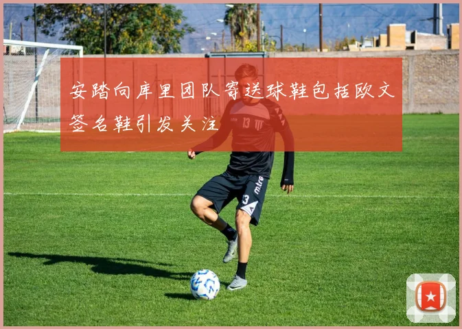 安踏向库里团队寄送球鞋包括欧文签名鞋引发关注