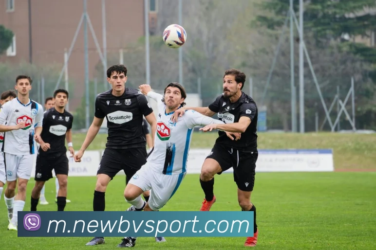 必威足球APP 封面图